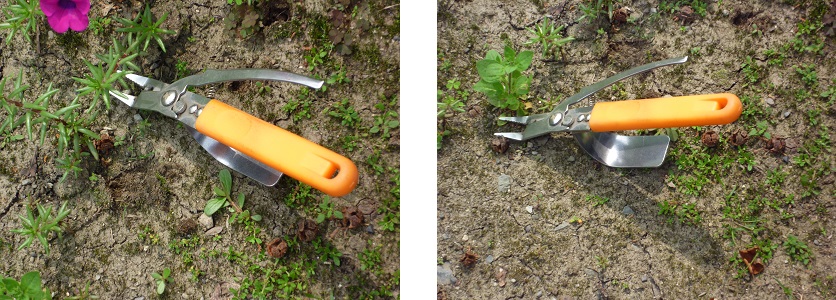園芸の道具: 家庭菜園とガーデニングのブログ